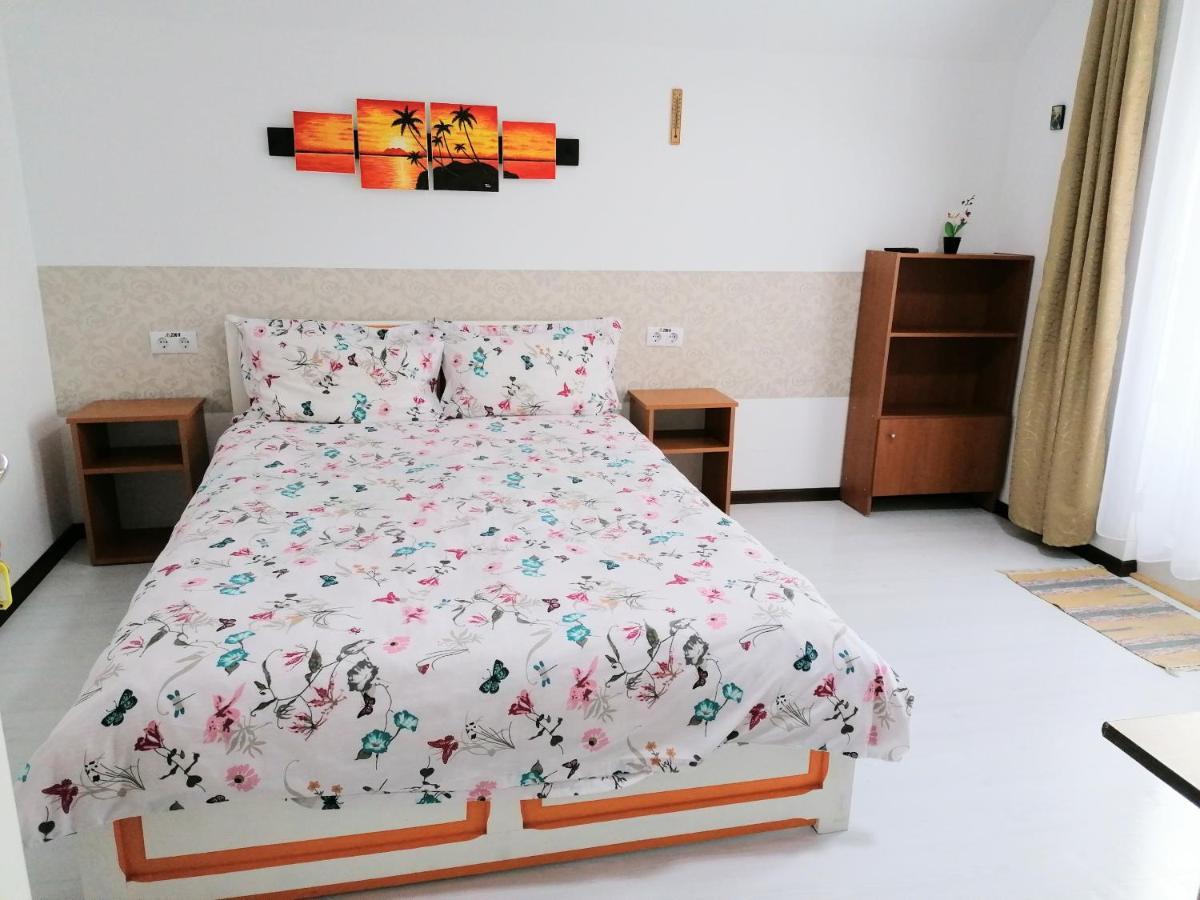 Teo Guest Rooms Băile Felix エクステリア 写真