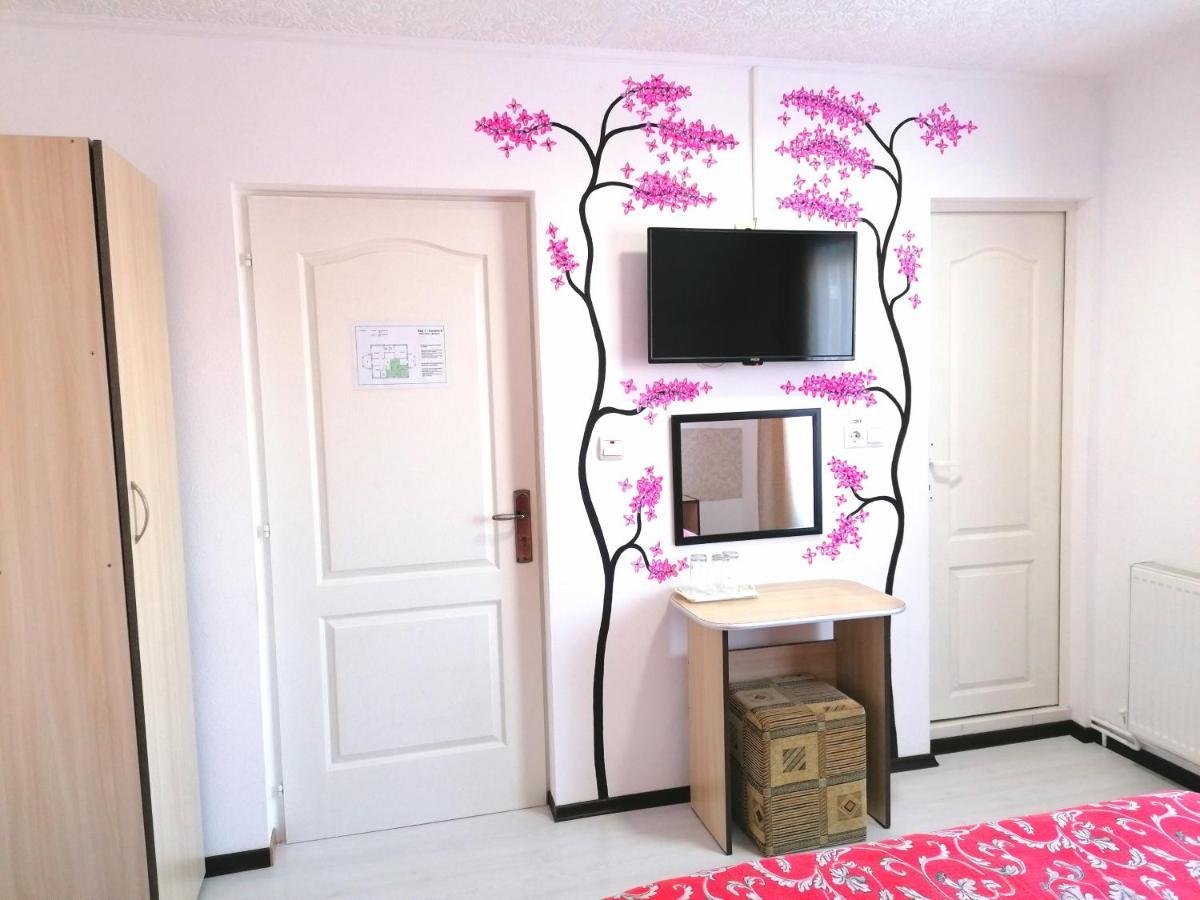 Teo Guest Rooms Băile Felix エクステリア 写真