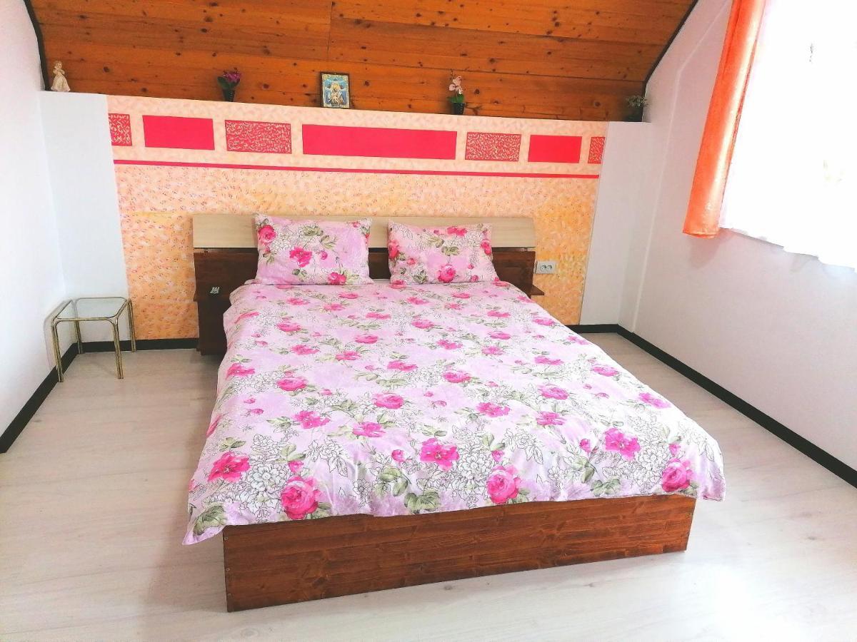 Teo Guest Rooms Băile Felix エクステリア 写真
