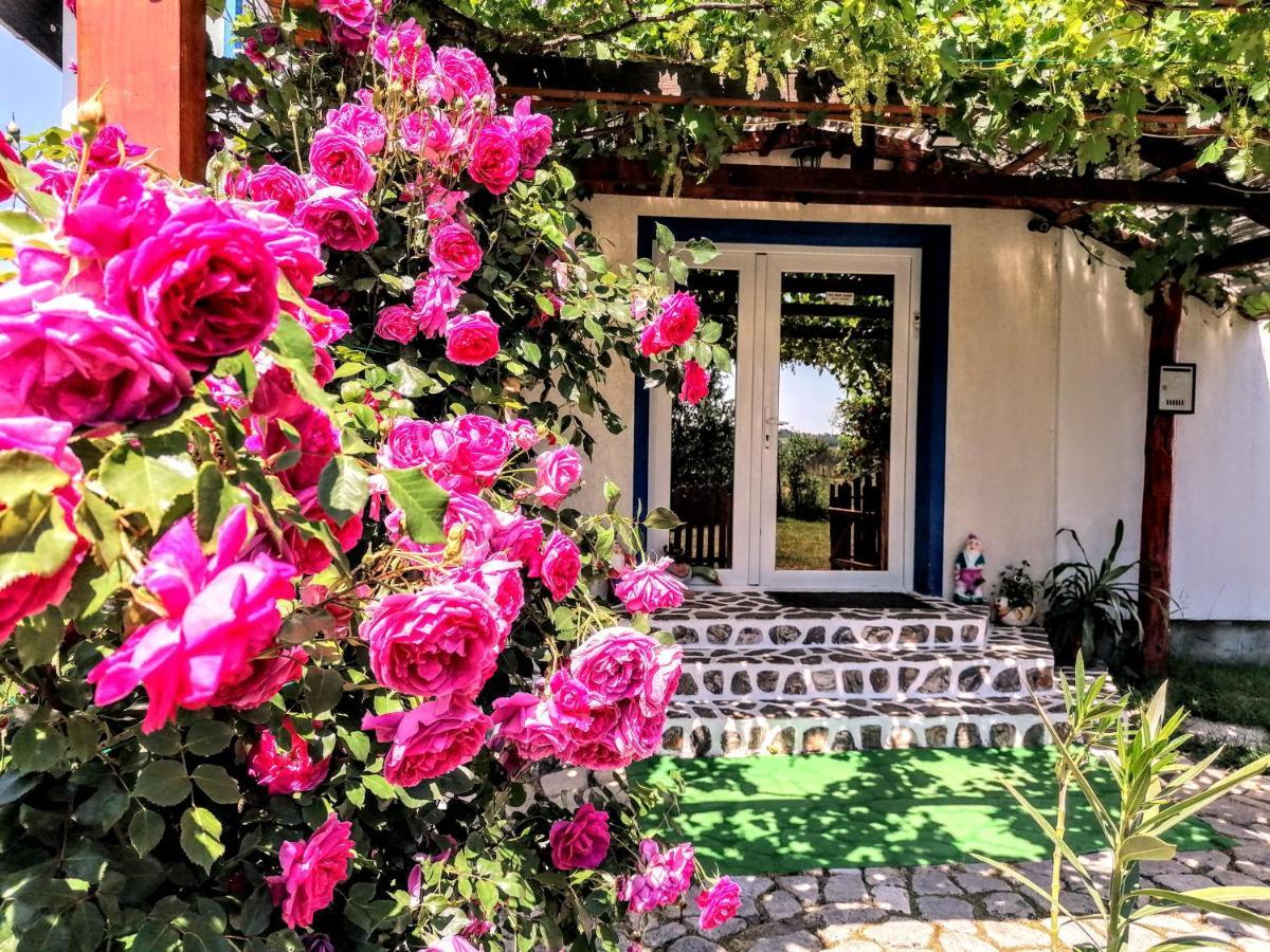 Teo Guest Rooms Băile Felix エクステリア 写真