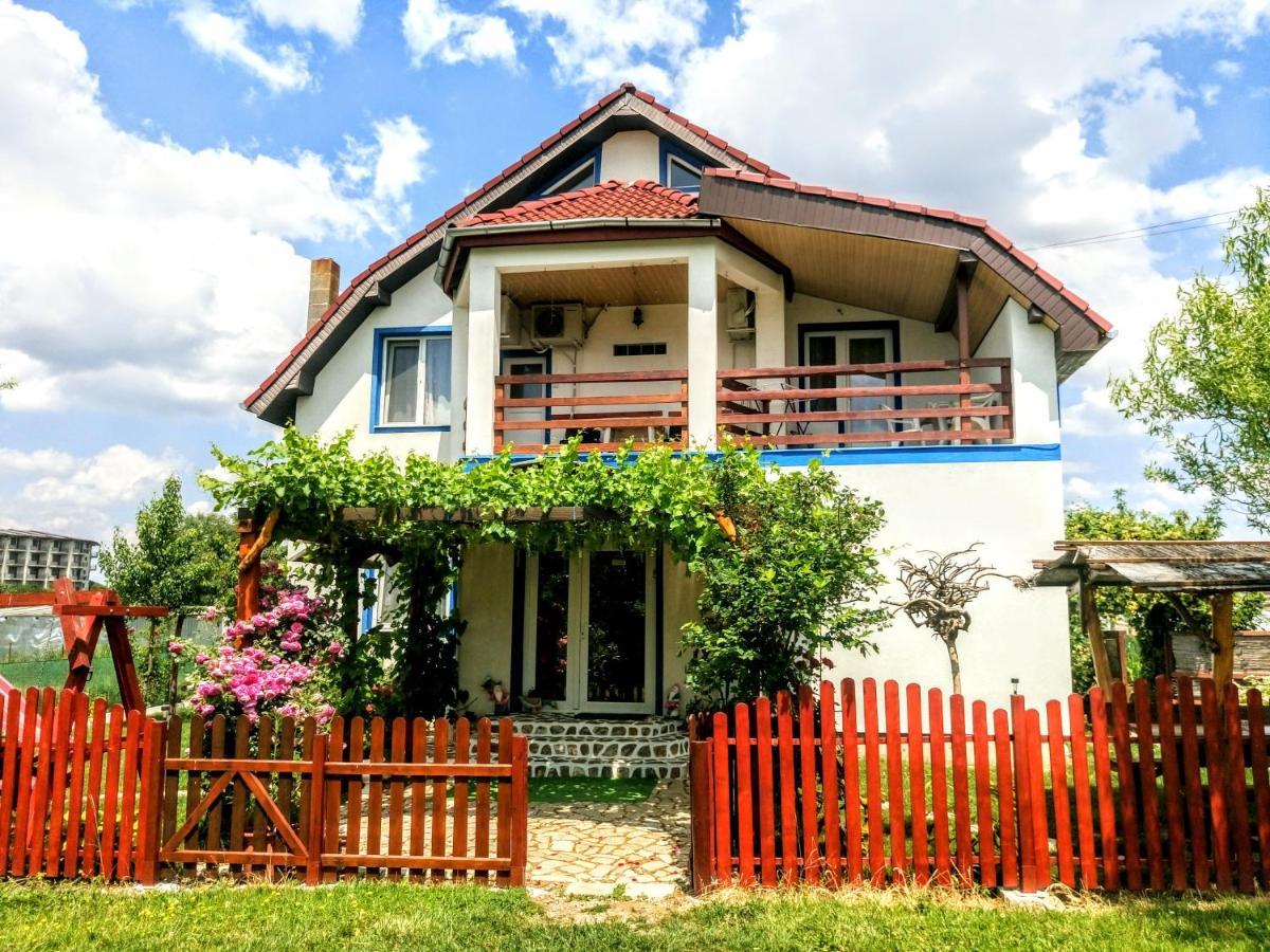 Teo Guest Rooms Băile Felix エクステリア 写真