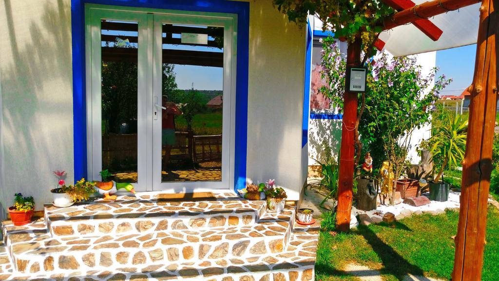 Teo Guest Rooms Băile Felix エクステリア 写真